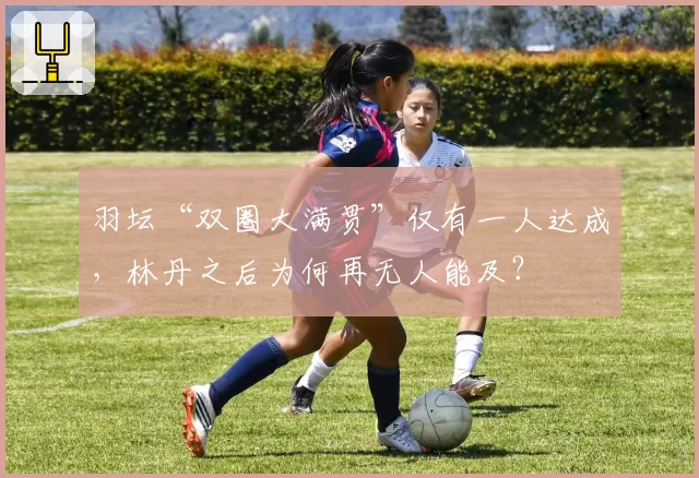 羽坛“双圈大满贯”仅有一人达成，林丹之后为何再无人能及？