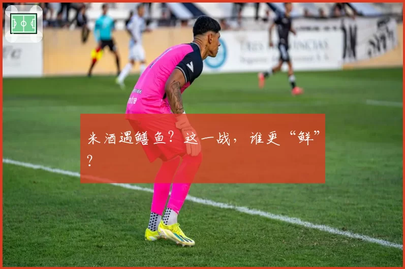 米酒遇鳝鱼？这一战，谁更“鲜”？