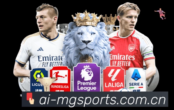 满冠体育平台展示